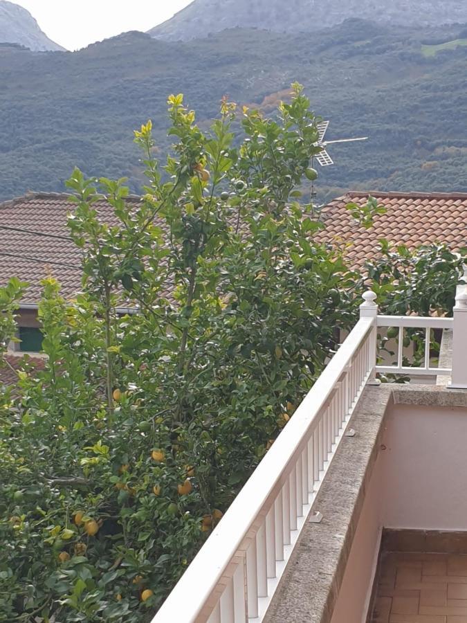 Casamentera Villa Mentera Barruelo ภายนอก รูปภาพ